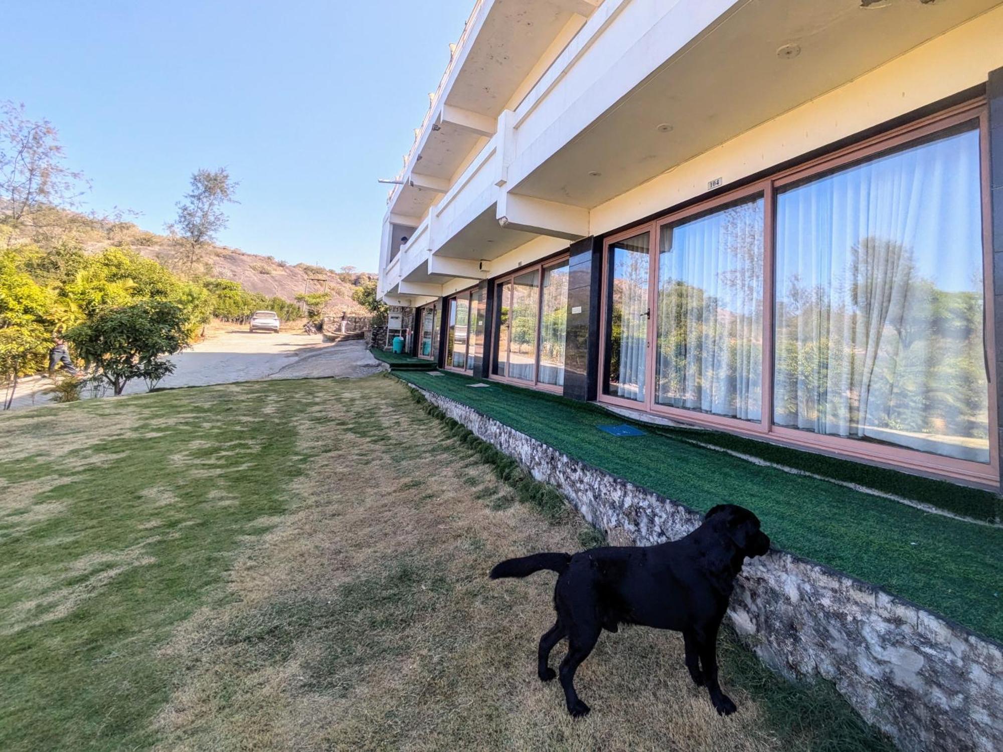 7Bhk Hill Villa Mount Abu Exterior photo